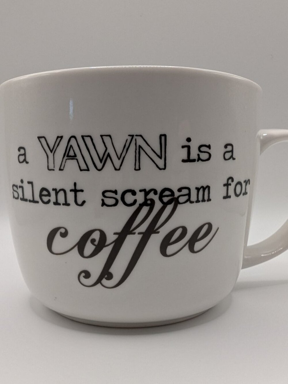 Pfaltzgraff "A Yawn Is A Silent Scream For Coffee" Ceramic Mug 16 oz NEW